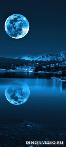 Обои 2026-03-31 №81984