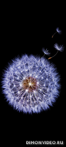 Обои 2026-03-15 №81260