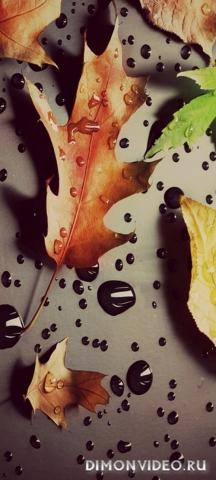 Обои 2026-04-10 №82428