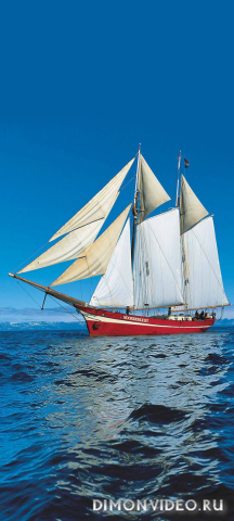 Обои 2026-03-17 №81363