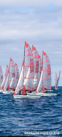 Обои 2026-03-17 №81365