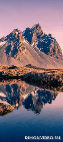 Обои 2026-04-22 №82933