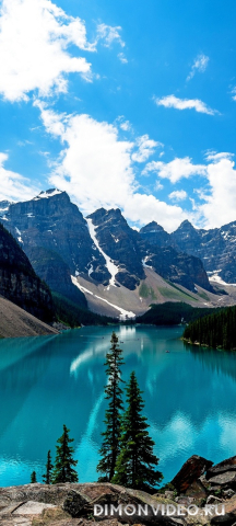 Обои 2026-03-31 №81983