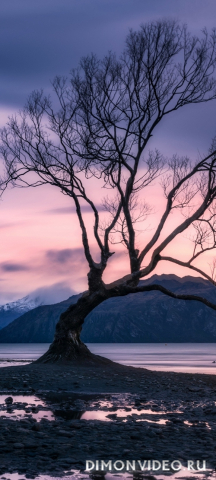 Обои 2026-04-28 №83167