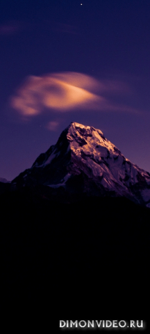 Обои 2026-04-18 №82755