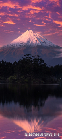 Обои 2026-04-18 №82753