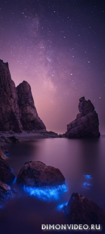 Обои 2026-01-25 №79582