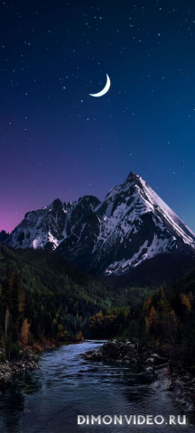 Обои 2026-01-25 №79581