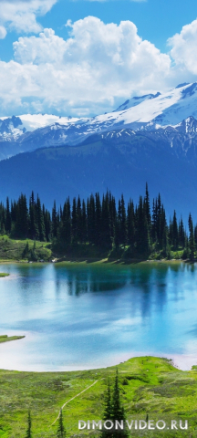 Обои 2026-03-11 №81090