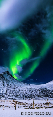 Обои 2026-03-31 №81988