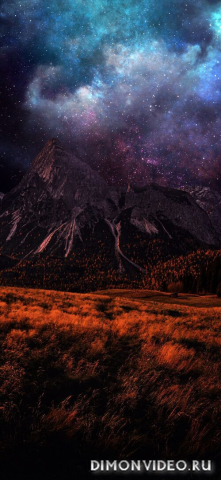 Обои 2026-03-11 №81089