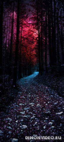 Обои 2026-01-25 №79579