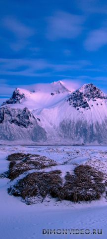 Обои 2026-02-06 №79755