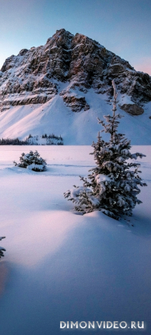 Обои 2026-02-06 №79753