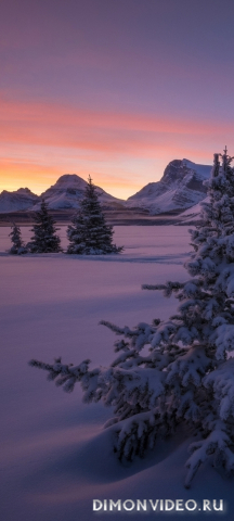 Обои 2026-02-06 №79752