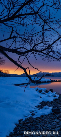 Обои 2026-03-22 №81580