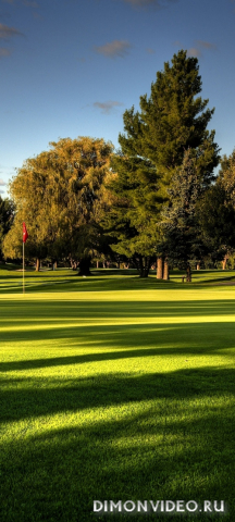 Обои 2026-04-22 №82932