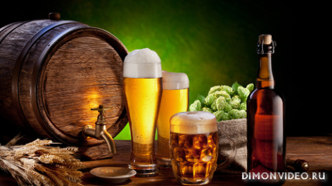 Обои 2026-04-12 №82492