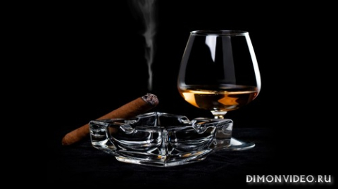 Обои 2026-04-19 №82794