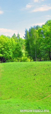 Обои 2025-07-10 №63743