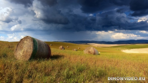 Обои 2026-03-23 №81626