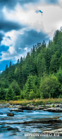 Обои 2026-04-22 №82931