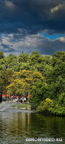 Обои 2025-07-12 №63945