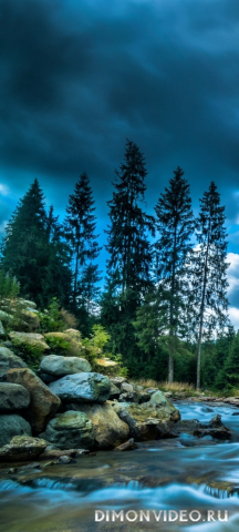 Обои 2026-04-03 №82115