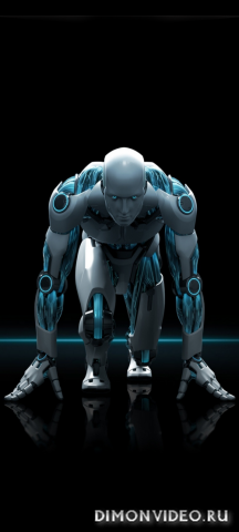 Обои 2026-02-07 №79768