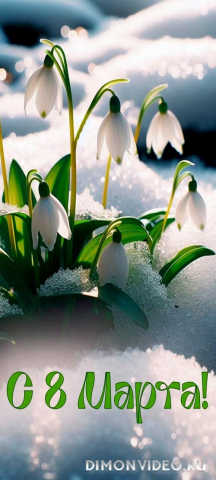 Обои 2025-03-07 №53789