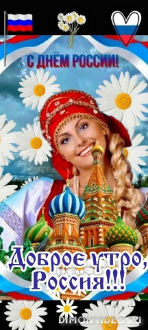Обои 2025-06-12 №61474