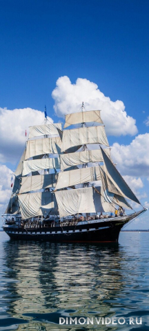 Обои 2026-03-17 №81362