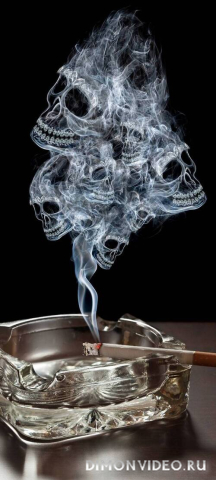 Обои 2026-03-25 №81724