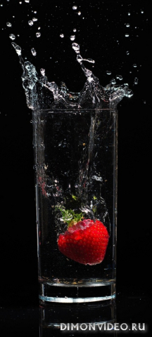 Обои 2026-03-15 №81264