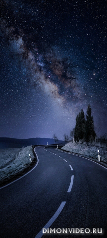 Обои 2026-03-31 №81987