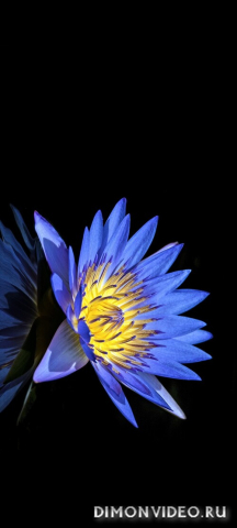 Обои 2026-03-26 №81765