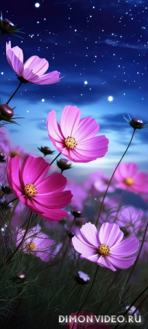 Обои 2026-03-26 №81763