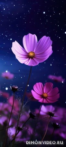 Обои 2026-03-26 №81764