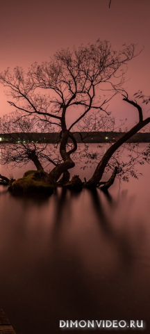 Обои 2026-03-22 №81579