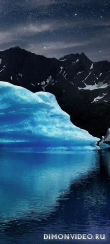 Обои 2026-03-22 №81578