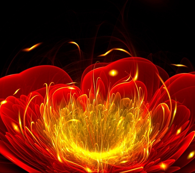 Обои 2024-12-02 №48549