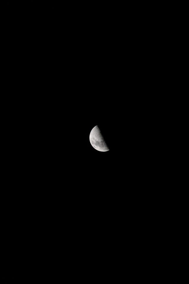 Обои 2024-12-02 №48588