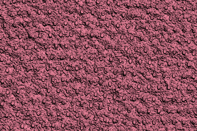 Обои 2024-12-04 №48688