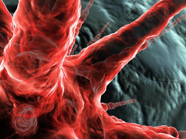 Обои 2024-12-09 №49033