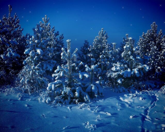 Обои 2024-12-15 №49399