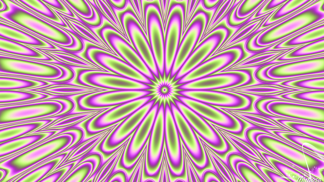 Обои 2024-12-22 №49759