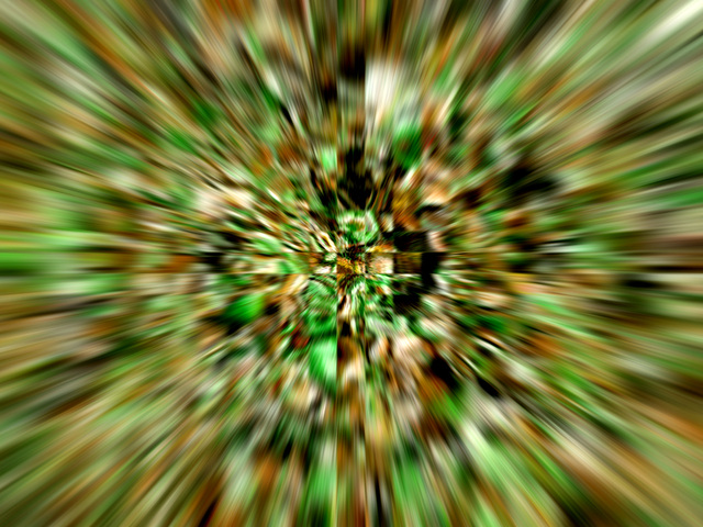 Обои 2024-12-23 №49859