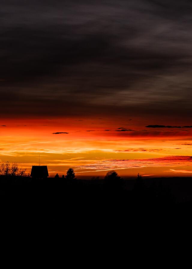 Обои 2024-12-25 №49953