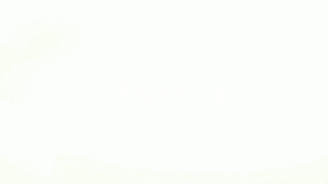 Обои 2024-12-28 №50168