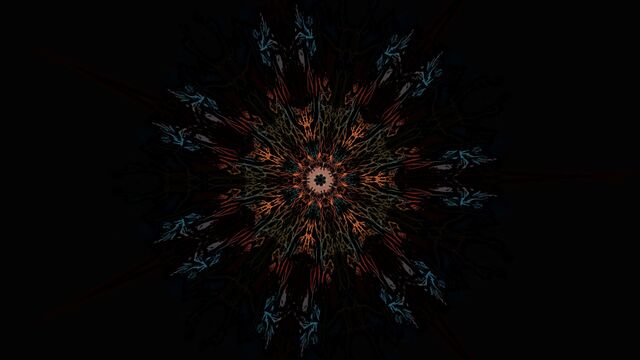 Обои 2025-01-03 №50446